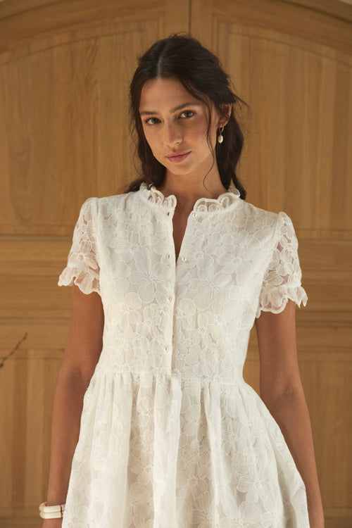 Cassis lace dress